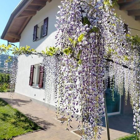 Nave San Rocco Agritur Lavanda מראה חיצוני תמונה