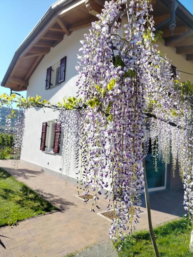 Nave San Rocco Agritur Lavanda מראה חיצוני תמונה